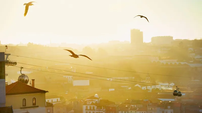 Porto: as melhores atividades