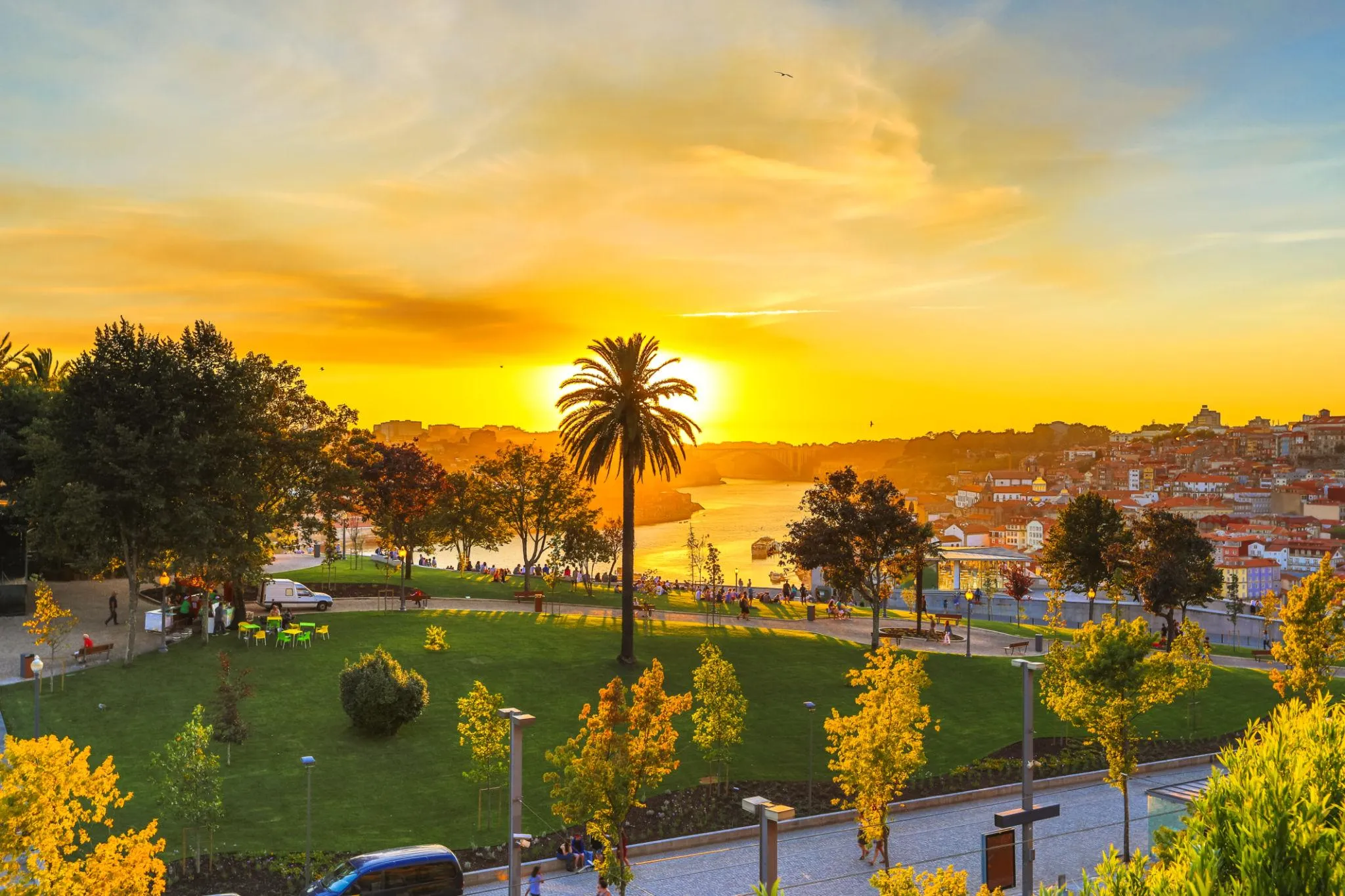 Vista do Jardim do Morro ao pôr-do-sol, com o rio Douro e a palmeira